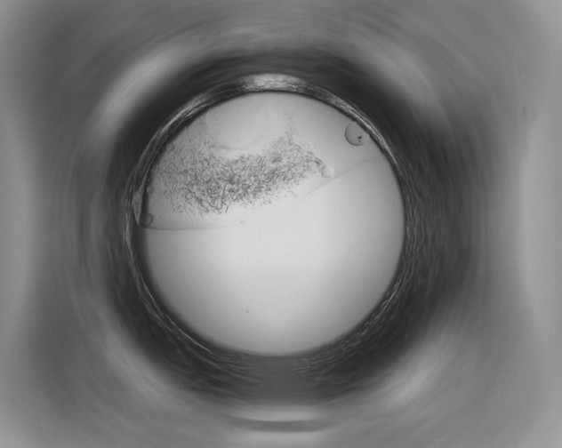 X0000116391151200912021001