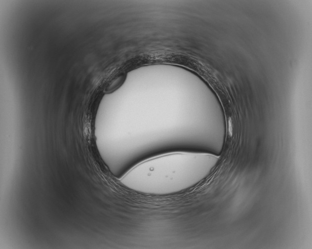 X0000116391155200912021000