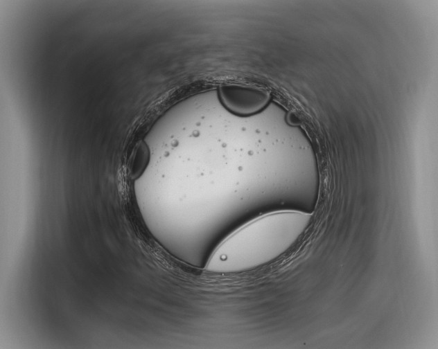 X0000116391156200912021000