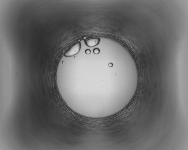 X0000116391157200912021000