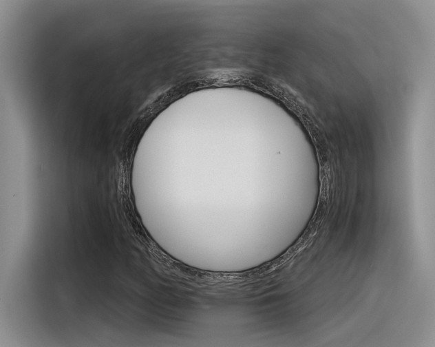 X0000116391158200912021000