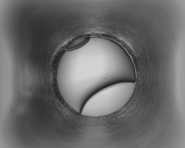 X0000116391159200912021000