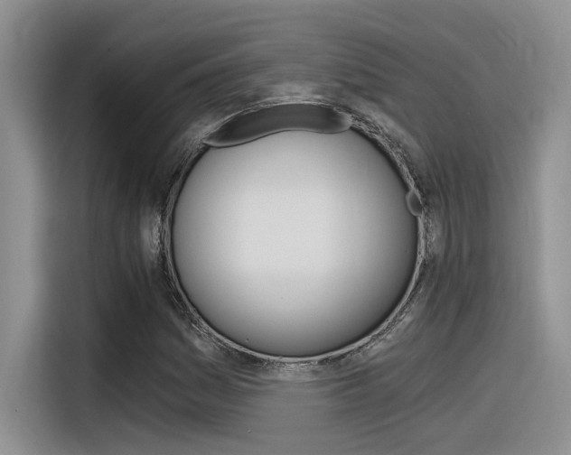 X0000116391161200912021000