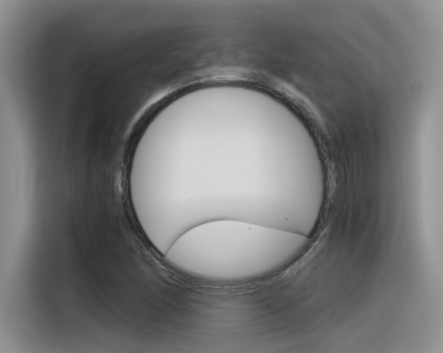 X0000116391166200912021000