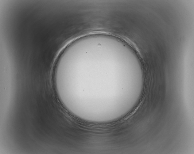 X0000116391167200912021000