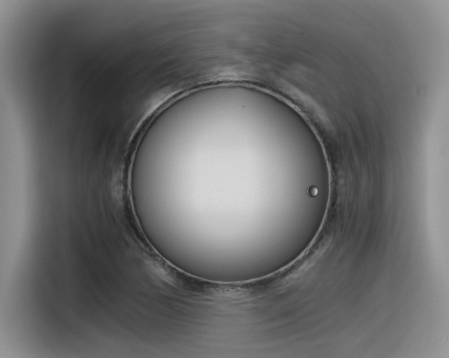 X0000116391170200912021000