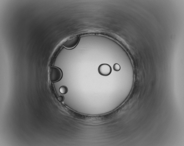 X0000116391171200912021000