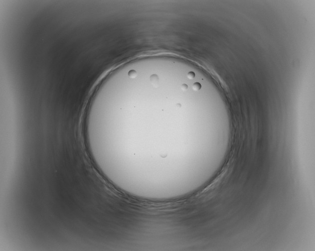 X0000116391173200912021000