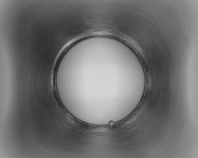 X0000116391174200912021000