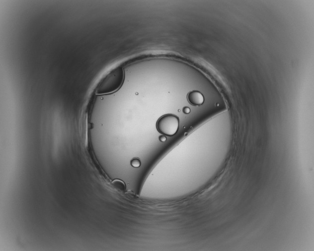 X0000116391175200912021000