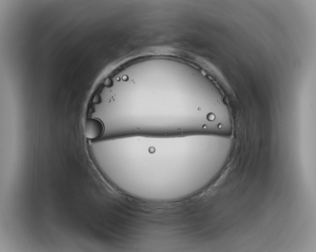 X0000116391176200912021000