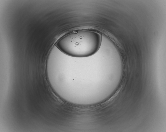 X0000116391177200912021000