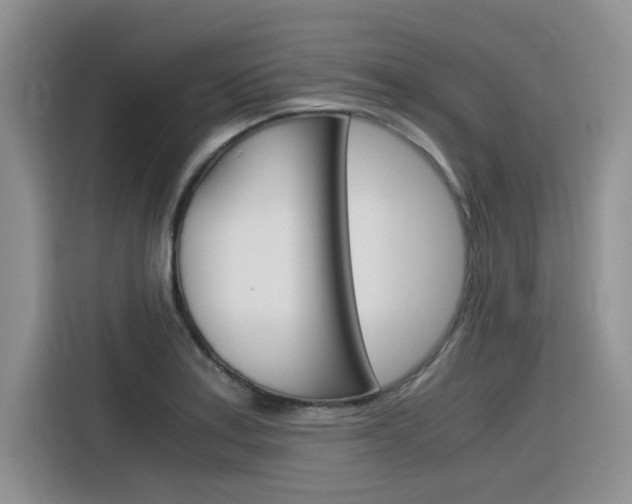 X0000116391179200912021000