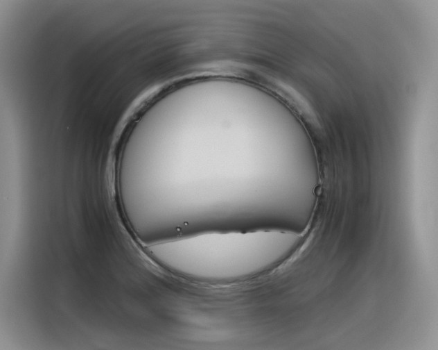 X0000116391180200912021000