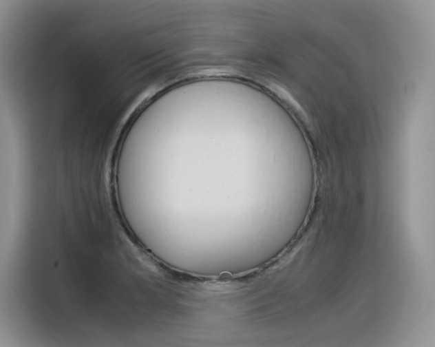 X0000116391181200912021000