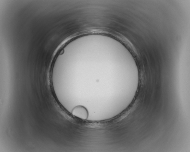 X0000116391182200912021000