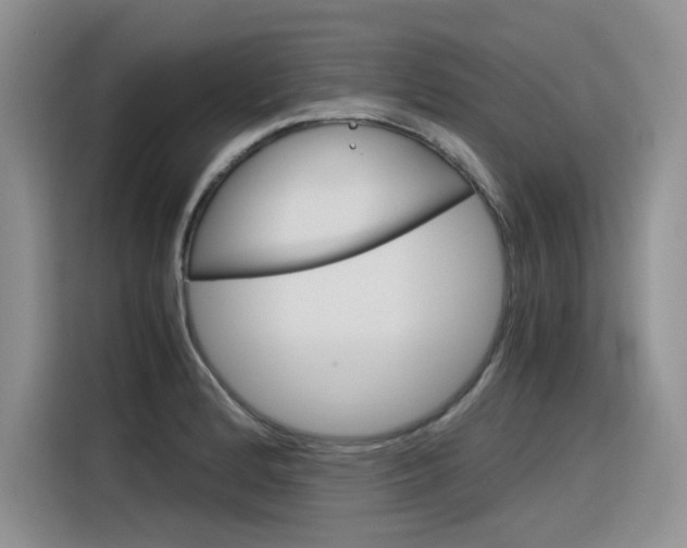 X0000116391184200912021000