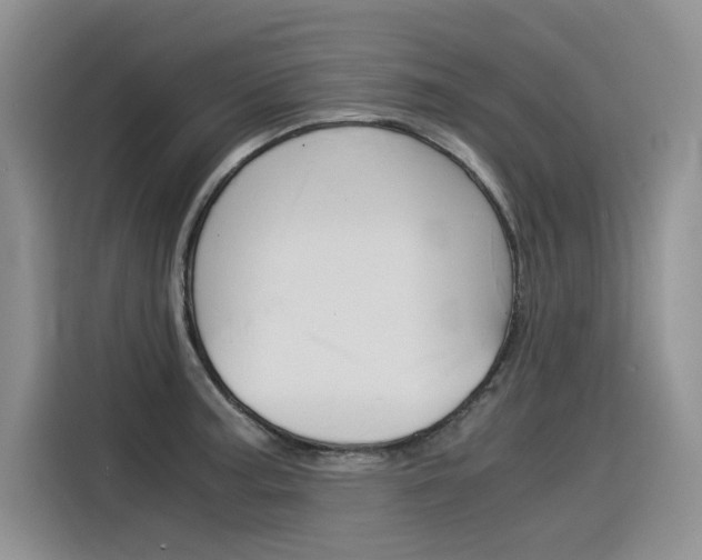 X0000116391187200912021000