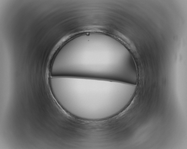 X0000116391188200912020959