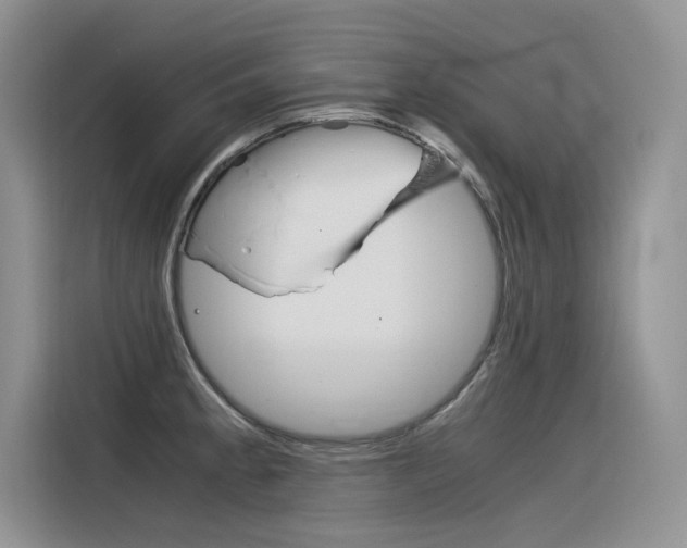 X0000116391189200912020959