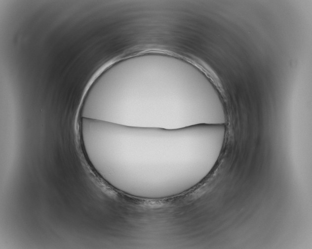 X0000116391190200912020959