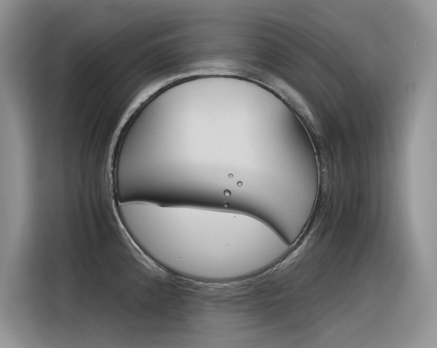 X0000116391192200912020959