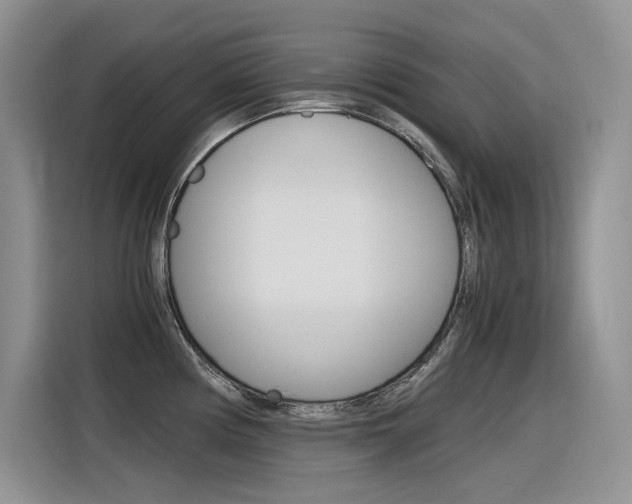X0000116391194200912020959