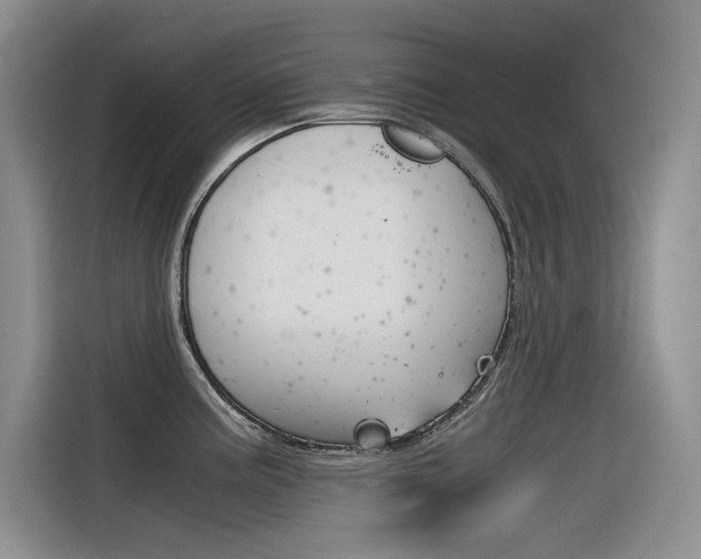X0000116391195200912020959