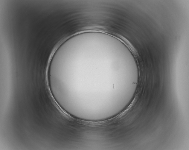 X0000116391196200912020959