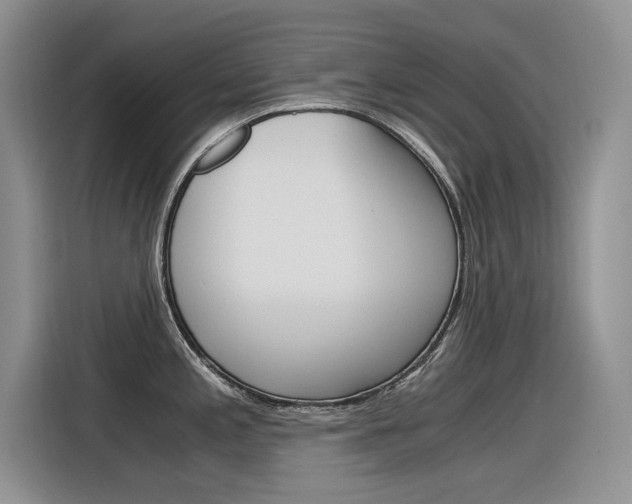 X0000116391197200912020959