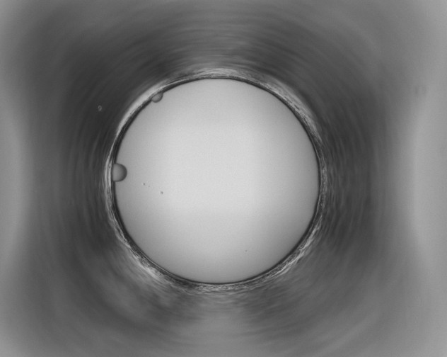 X0000116391198200912020959