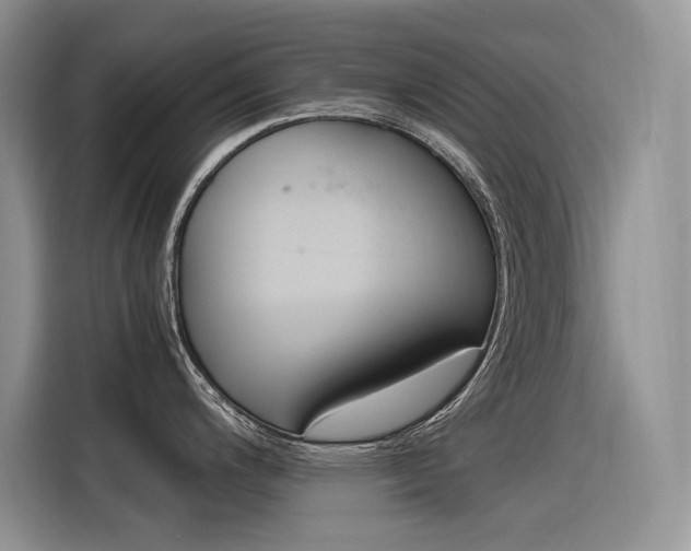 X0000116391200200912020959
