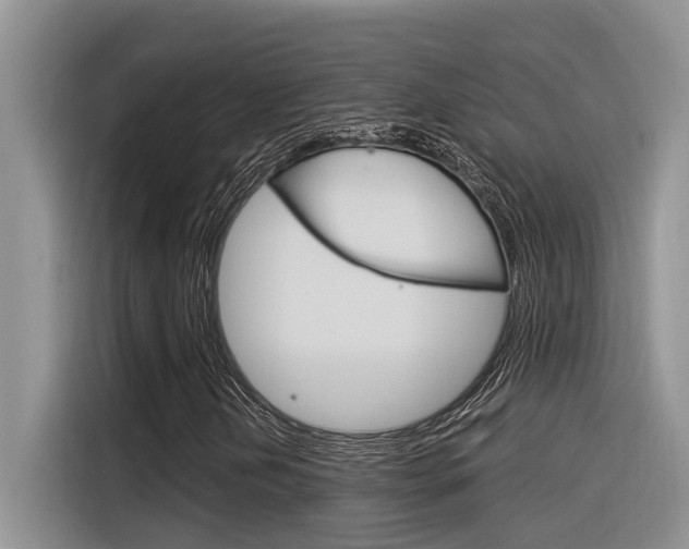 X0000116391202200912020959