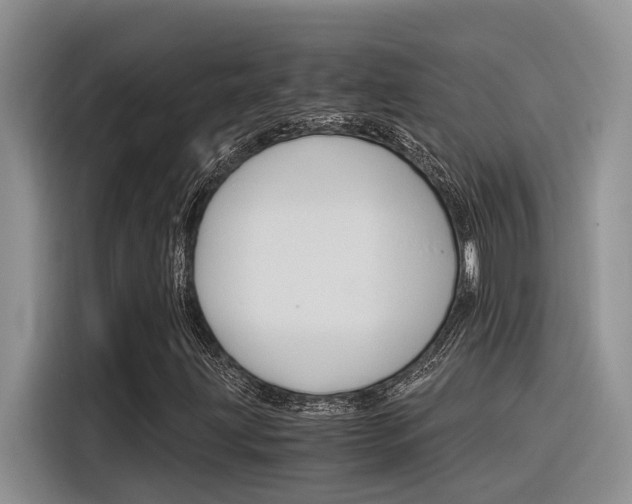 X0000116391203200912020959