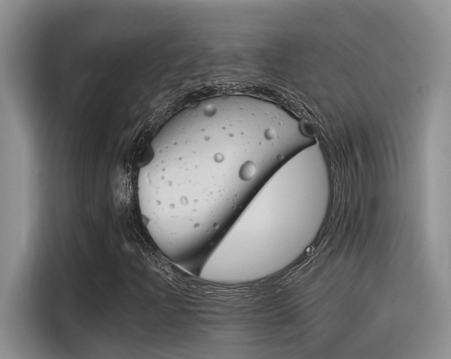 X0000116391204200912020959