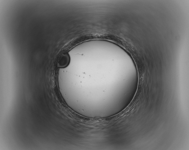 X0000116391205200912020959
