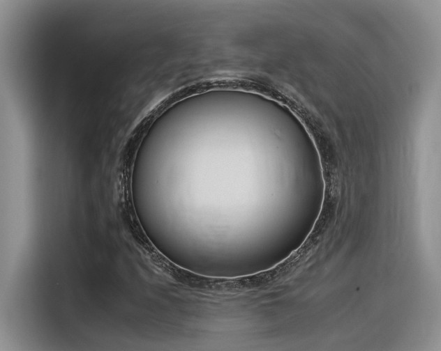 X0000116391208200912020959