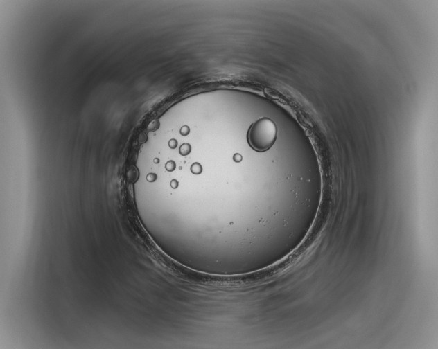 X0000116391210200912020959