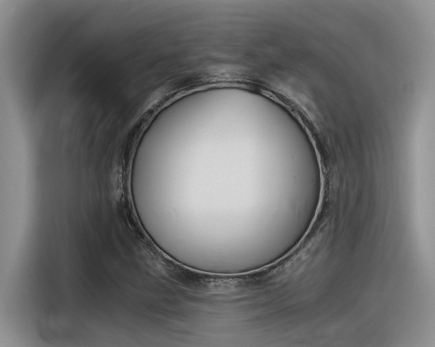 X0000116391211200912020959