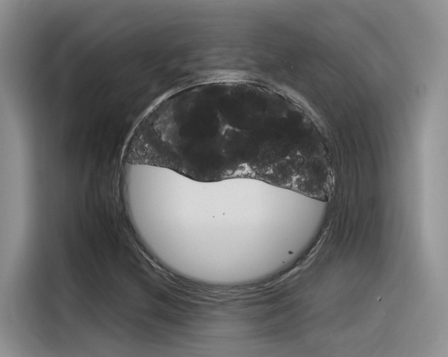 X0000116391212200912020959