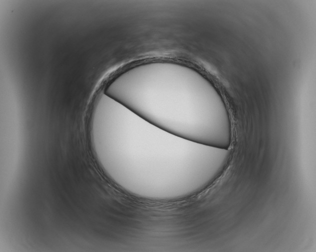 X0000116391214200912020959