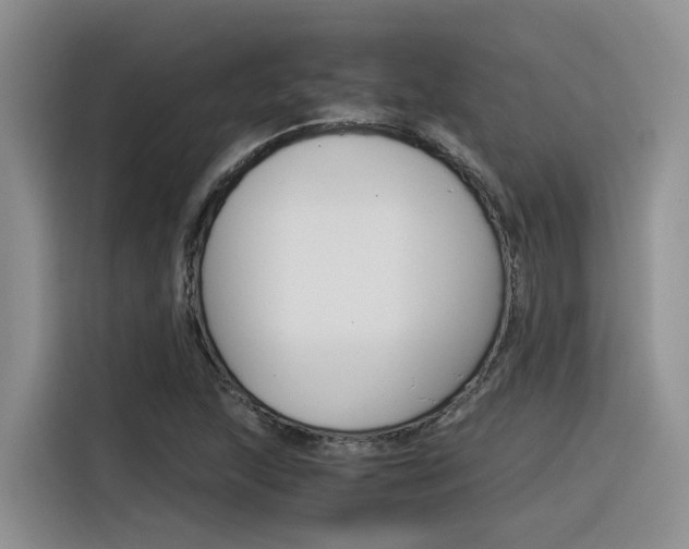 X0000116391215200912020959