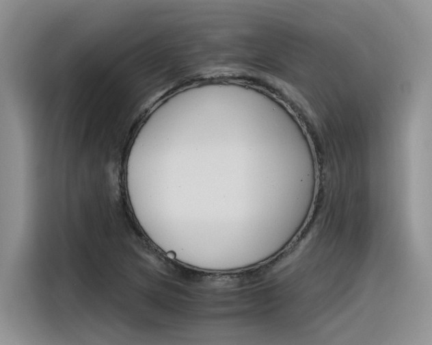 X0000116391217200912020959