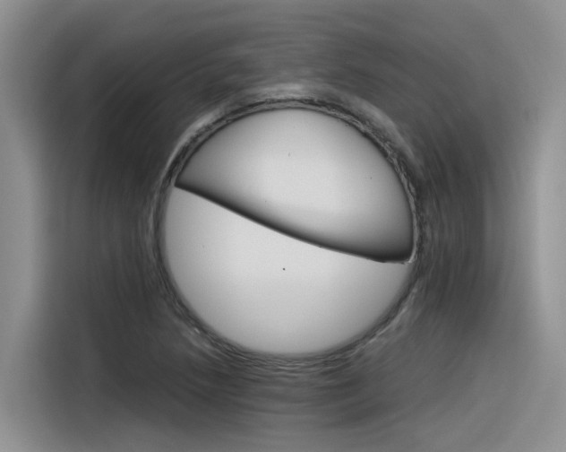 X0000116391218200912020959