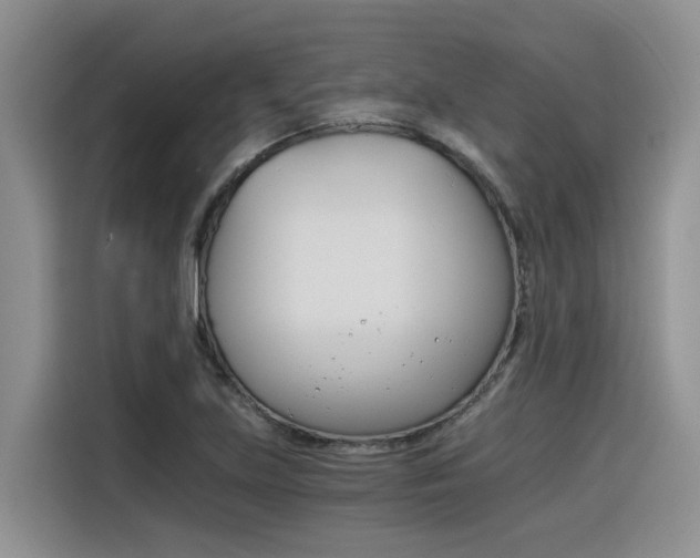 X0000116391219200912020959