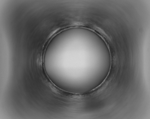 X0000116391220200912020959