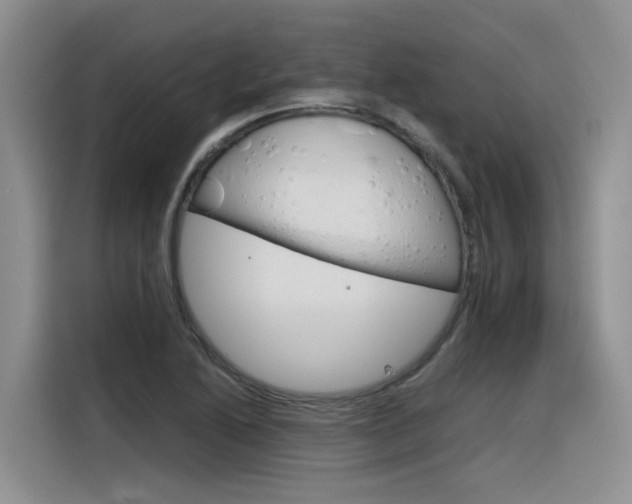 X0000116391222200912020959