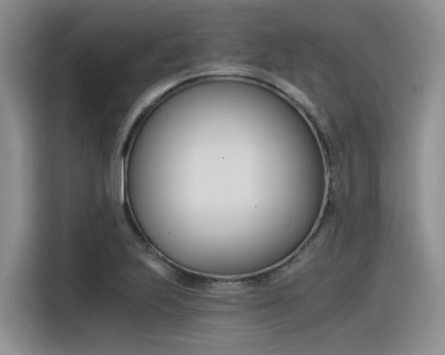 X0000116391223200912020959