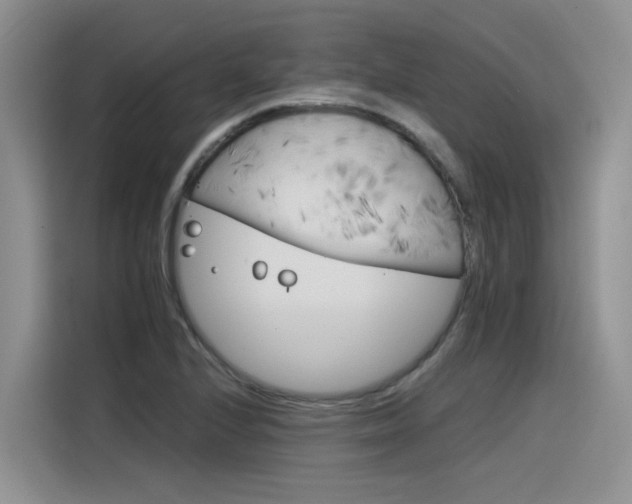 X0000116391224200912020959