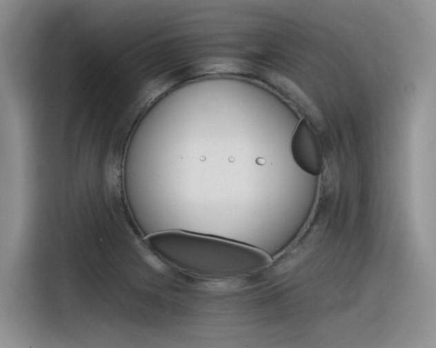 X0000116391225200912020959